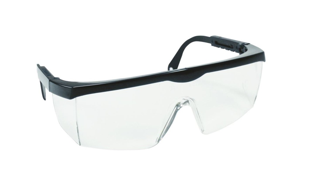 Eagle Protective Goggles