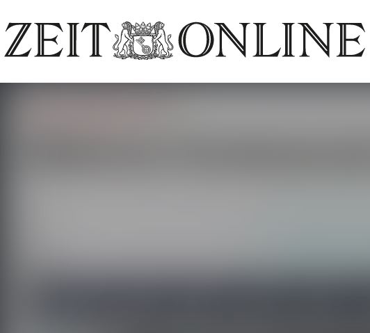 DACH managing director Ming Gutsche in an interview with ZEIT ONLINE
